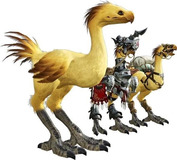 Background for Chocobos