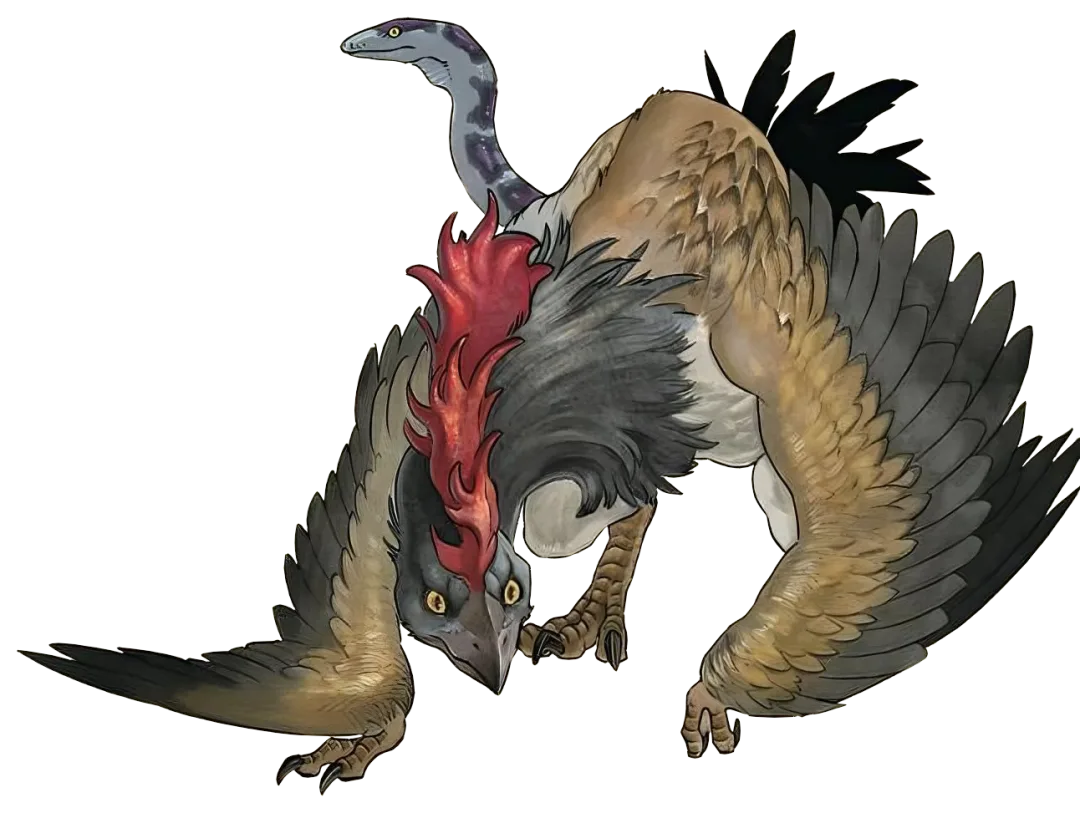 Background for Cockatrices