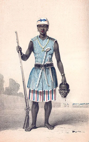 Background for Dahomey Amazons