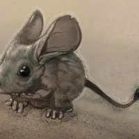 Desert Mice