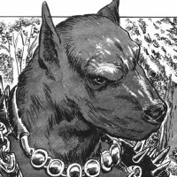 Dog Soldiers