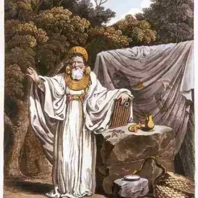 Druids