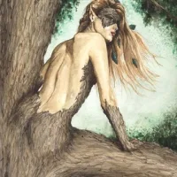 Dryads