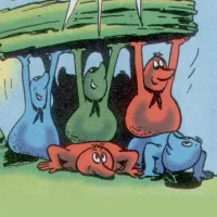 Fermies
