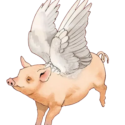 Flying Pigs