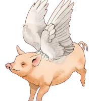 Flying Pigs
