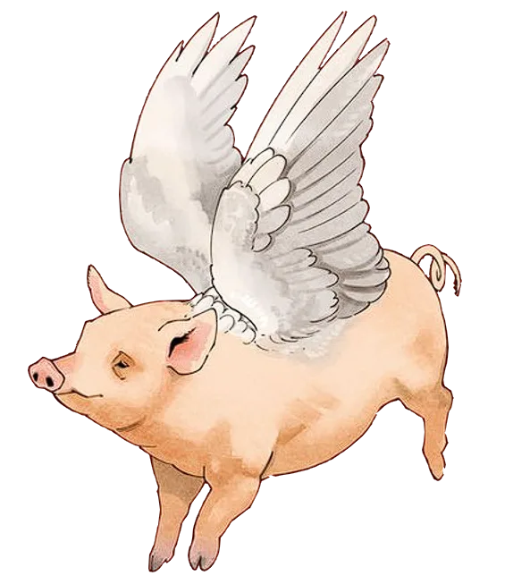 Background for Flying Pigs