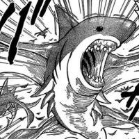 Flying Shark