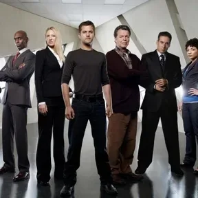 Background for Fringe Division