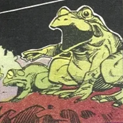 Frogs of Central Park