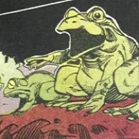 Frogs of Central Park