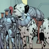 Giant Dalmatian Dogs