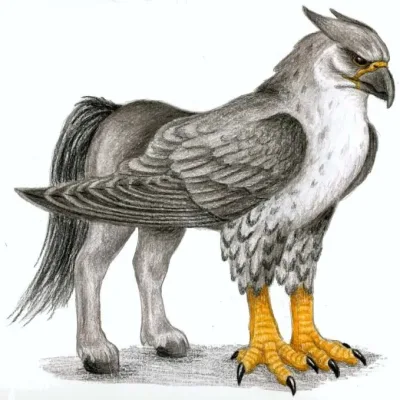 Hippogriffs