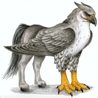 Hippogriffs