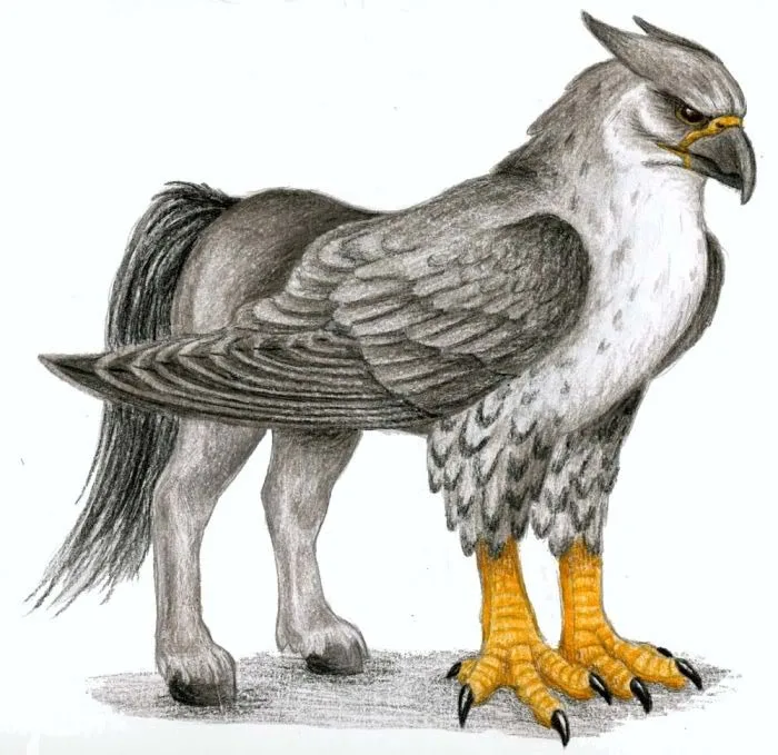 Background for Hippogriffs