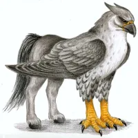 Hippogriffs