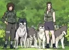 Background for Inuzuka Clan