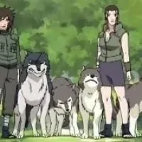 Inuzuka Clan