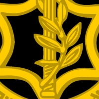 Israel Defense Forces