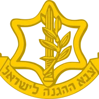 Israel Defense Forces
