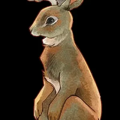 Jackalopes