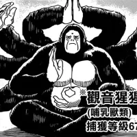 Kannon Gorilla