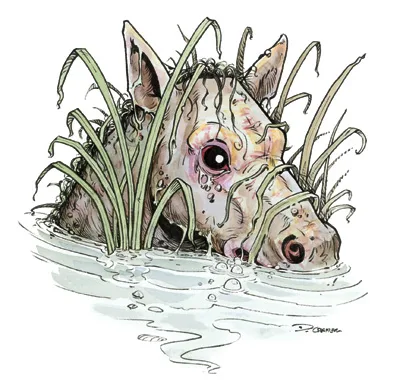 Background for Kelpies