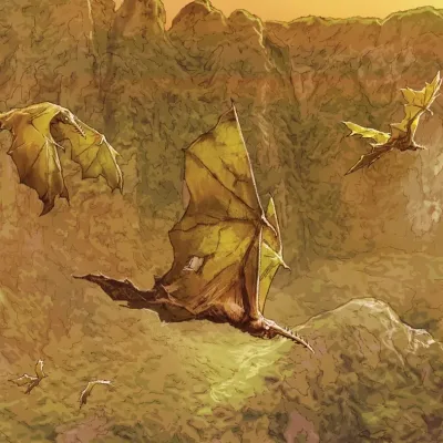 Leafwings
