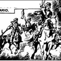 Lupi dell'Ontario