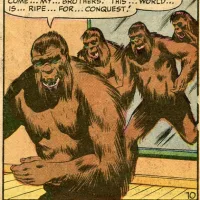 Monsters From The Mirror