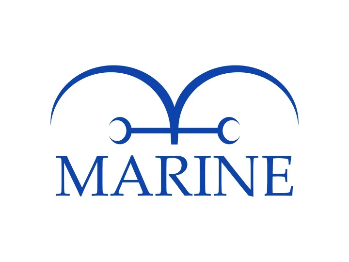 Background for Naval Grand Line Forces