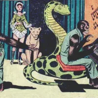Neo-Animals