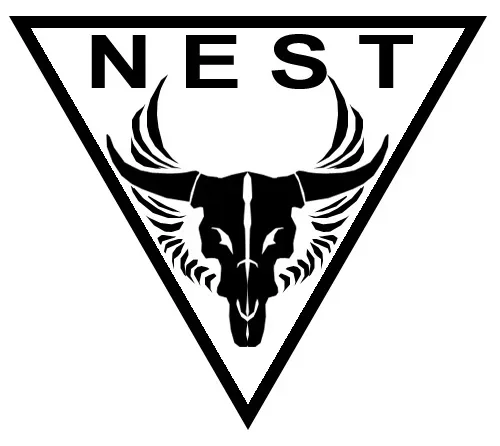 Background for NEST