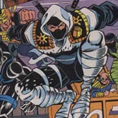 Ninja Force