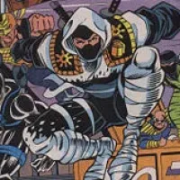 Ninja Force
