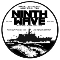 Ninth Wave