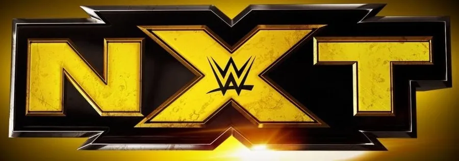 Background for NXT