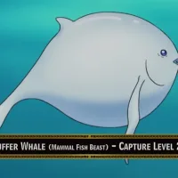 Puffer Whale
