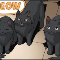 Purrfect Purrloiners