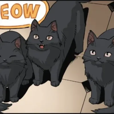Purrfect Purrloiners