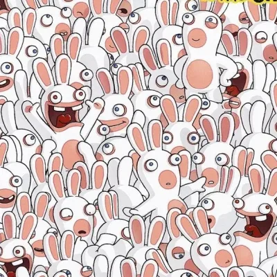 Rabbids