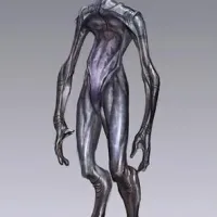 Salarians