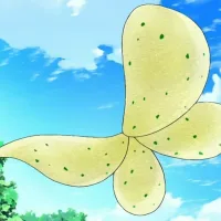 Salted Seaweed Butterflies