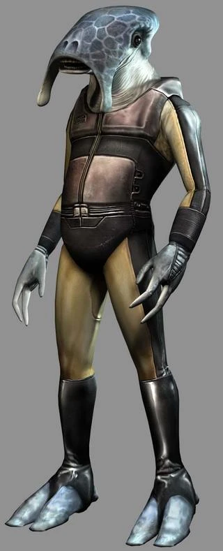 Background for Selkaths