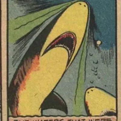 Sharks