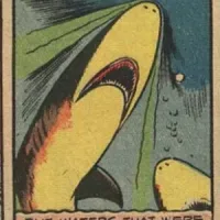 Sharks