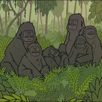 Simians