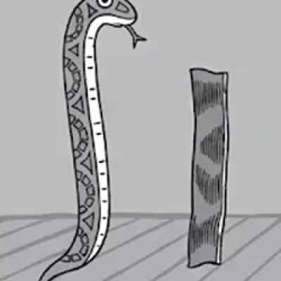 Snake 'n' Bacon