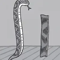 Snake 'n' Bacon
