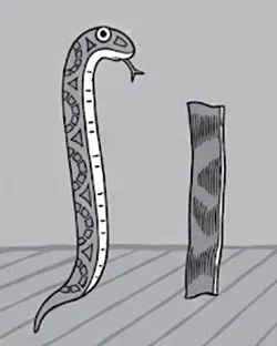 Background for Snake 'n' Bacon